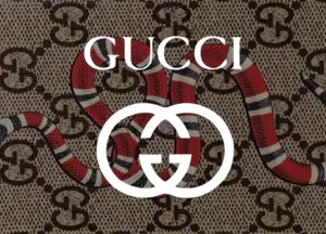 Gucci Bags