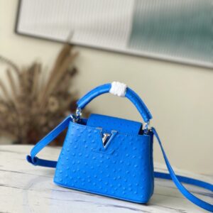 Louis Vuitton Mini Capucines Ostrich Leather Handbag