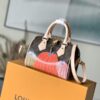 Louis Vuitton Speedy BANDOULIÈRE 20 Handbag