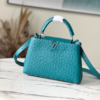 Louis Vuitton Small Capucines Ostrich Leather Handbag – Blue