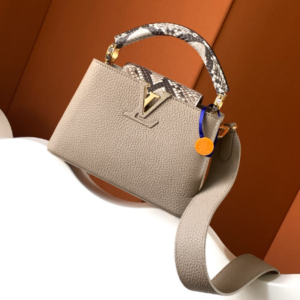 Louis Vuitton Ca Bucines BB Small handbag – Elephant Gray