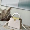 Louis Vuitton Capucines Handbag – Grey