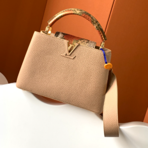 Louis Vuitton Ca Bucines BB Medium handbag – Beige