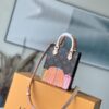 Louis Vuitton PETIT SAC PLAT Handbag