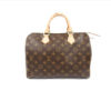 Louis Vuitton Speedy 30 Italian A-grade Handbag