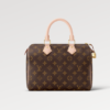 Louis Vuitton Speedy 25 Italian A-grade Handbag