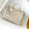 Louis Vuitton Speedy 25 Travel Handbag – White