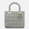 Dior Medium Lady Dior Bag with Enamel Charm In Grey Lambskin